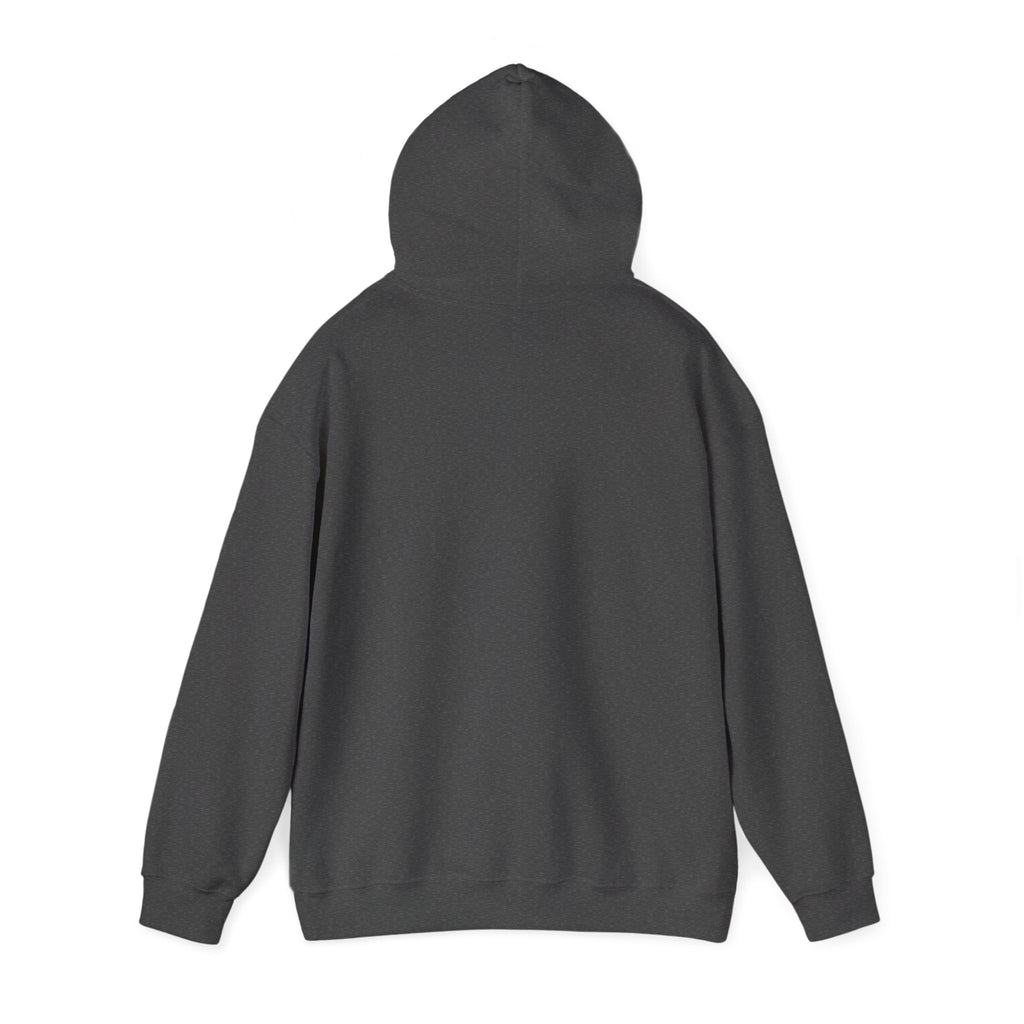 Fantasy Bookstore Hoodie — 'Bragi's Bookshelf' Logo