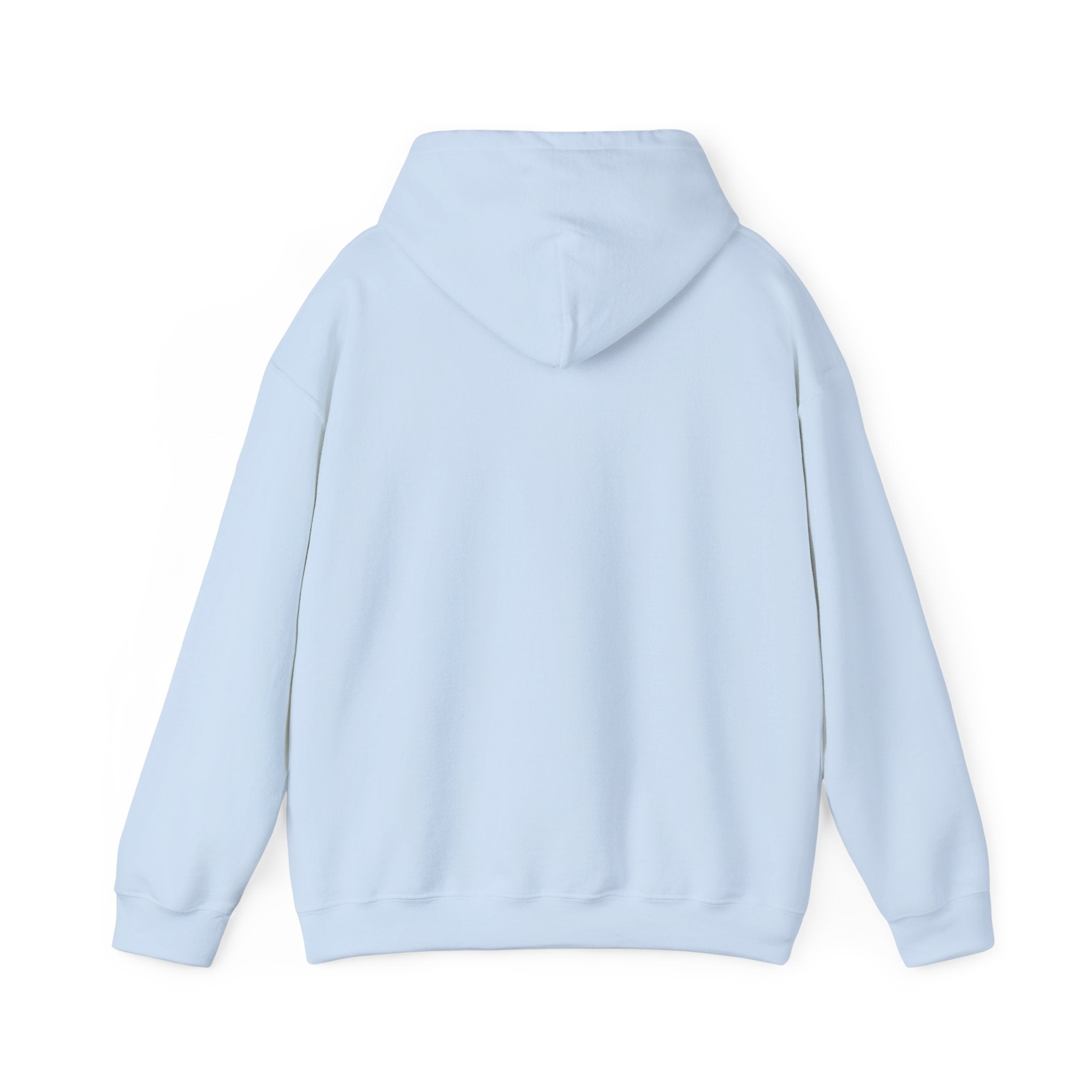 Fantasy Bookstore Hoodie — 'Bragi's Bookshelf' Logo
